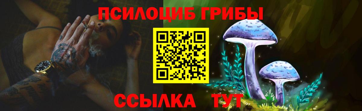 Зеленодольск  Псилоцибиновые грибы прущие грибы  Вход с VPN 